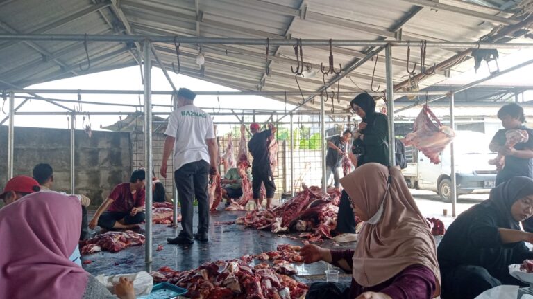 IIQ Jakarta Tunaikan Amanah Qurban 2025
